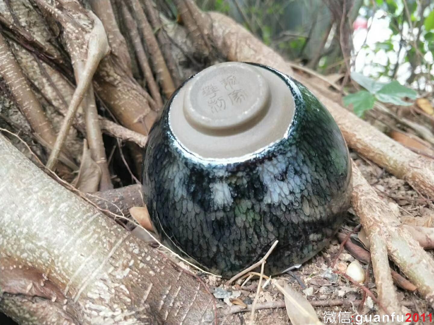 mmexport1525334007441