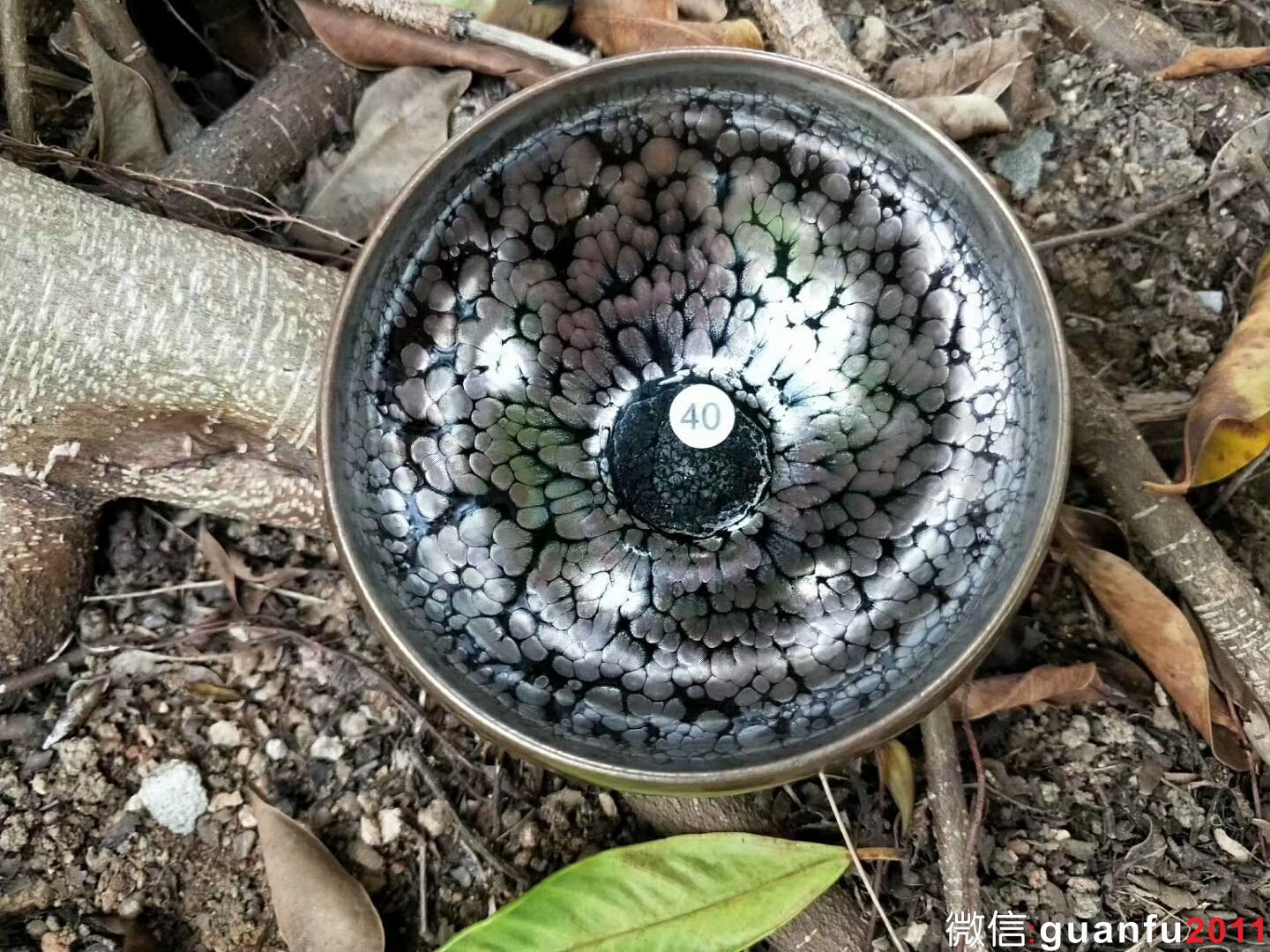 mmexport1525334077702