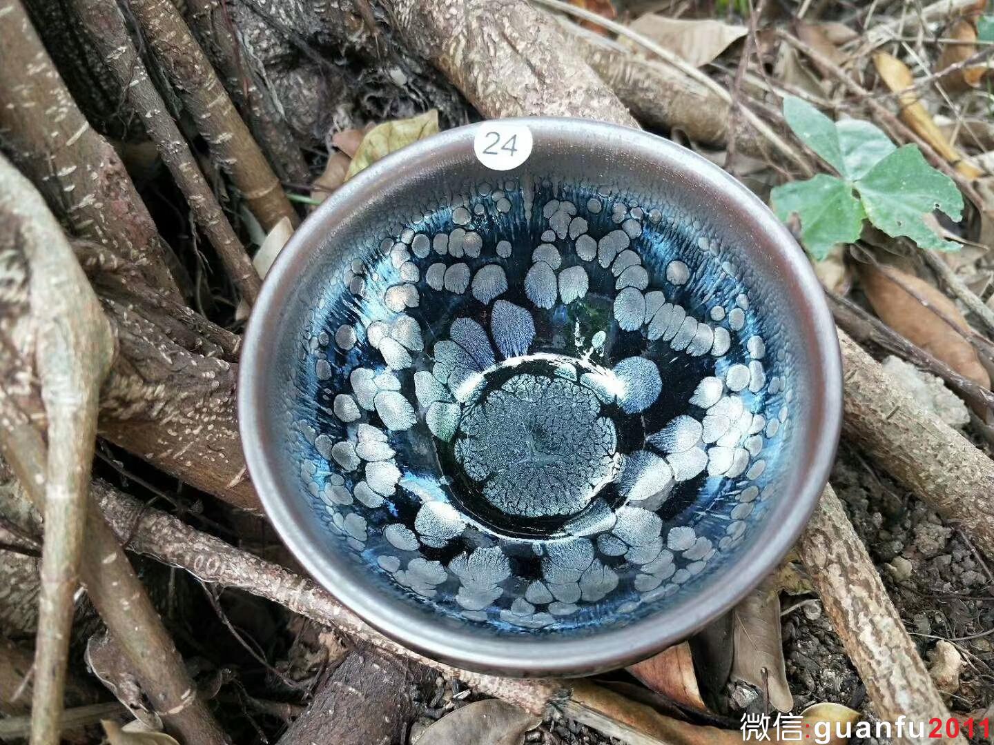 mmexport1525334152754