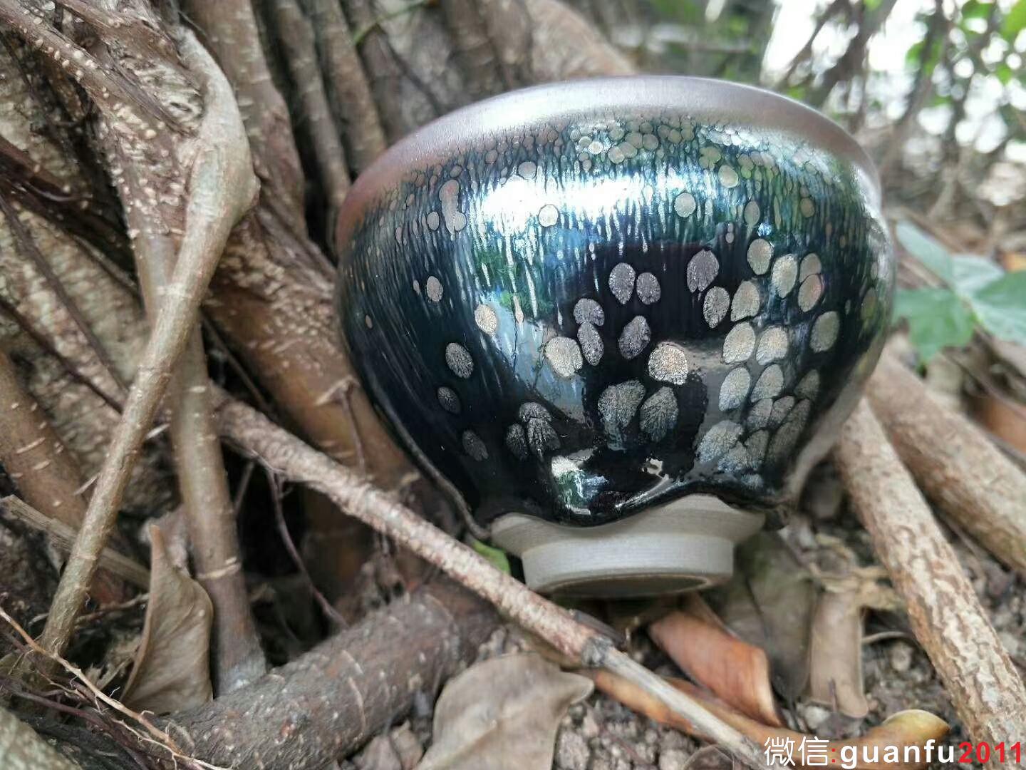 mmexport1525334157872