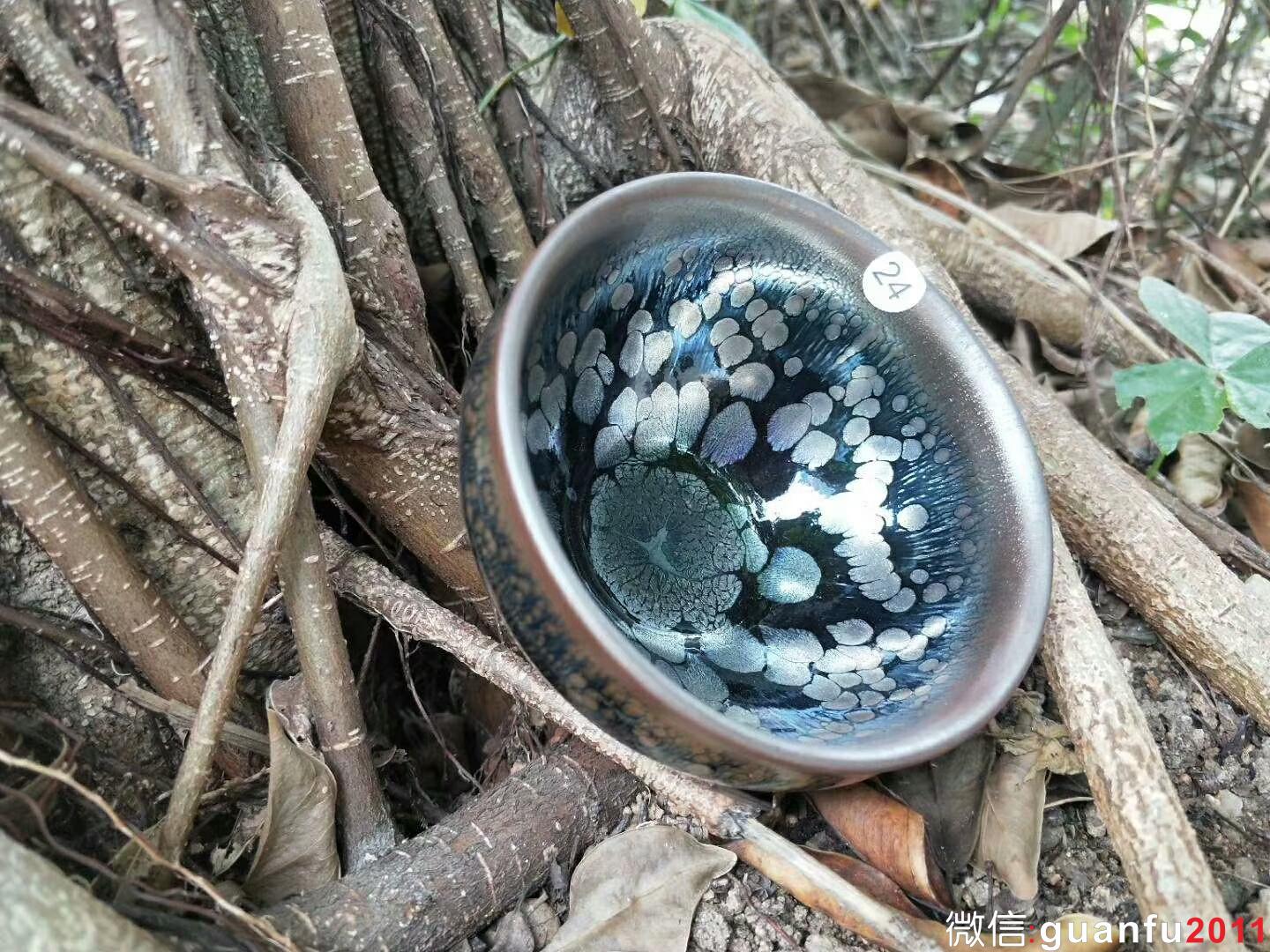 mmexport1525334164507