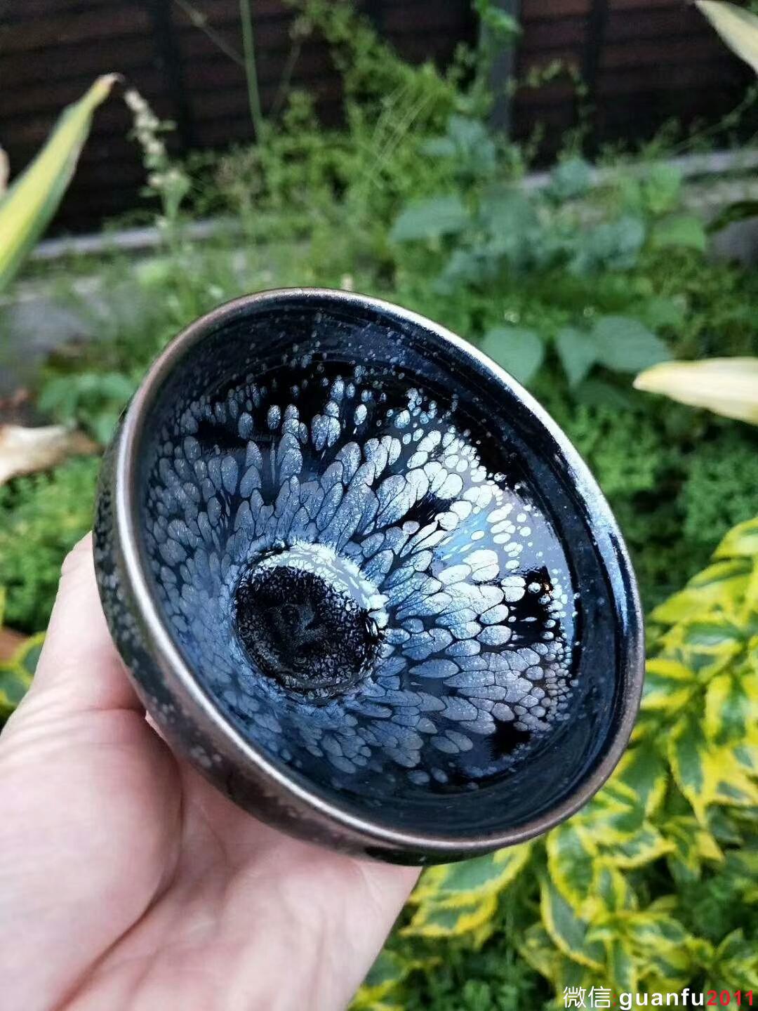 mmexport1525334704295