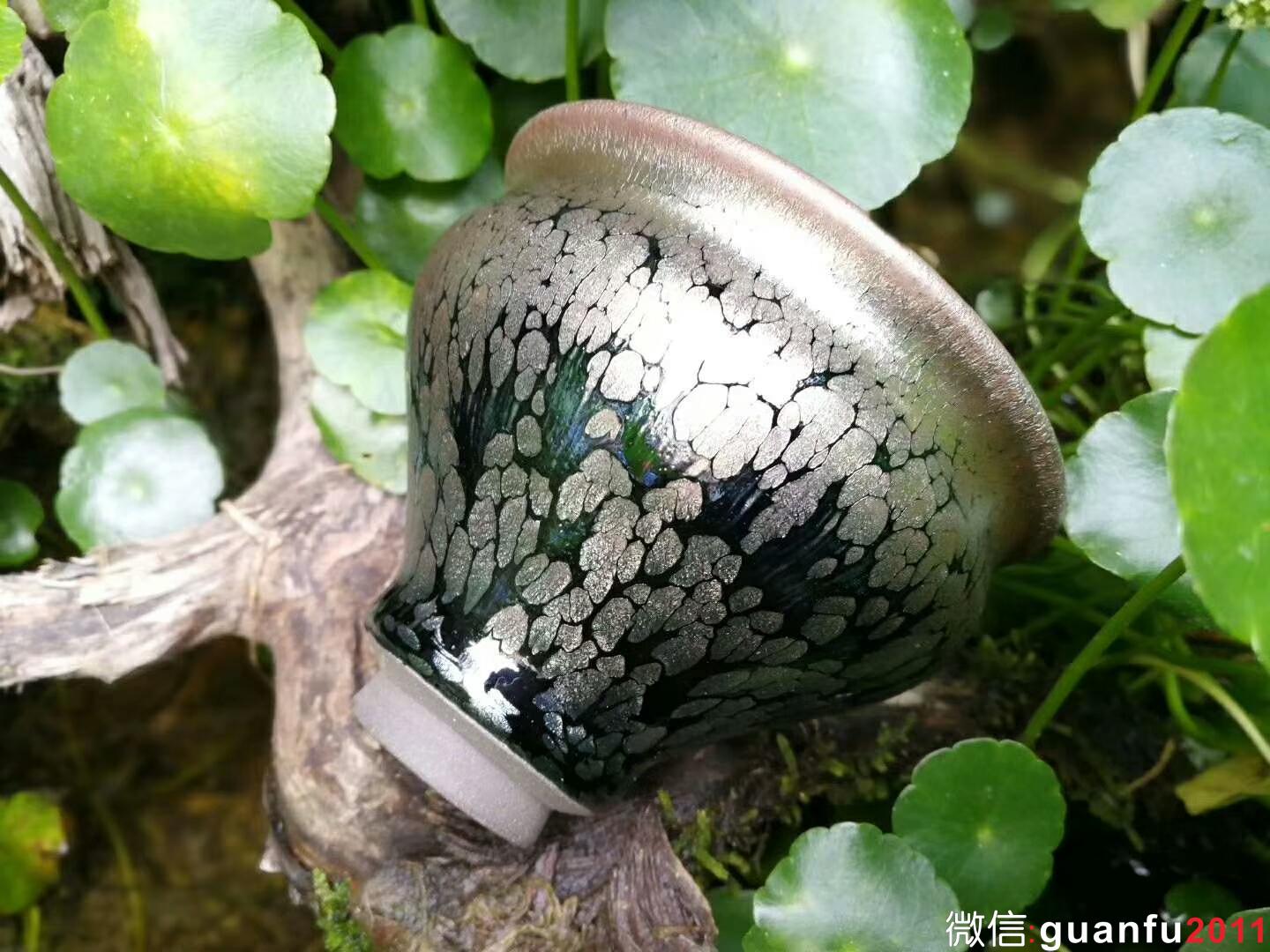 mmexport1525336317336