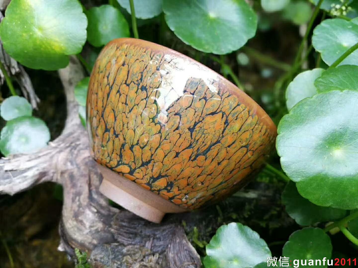 mmexport1525336484768