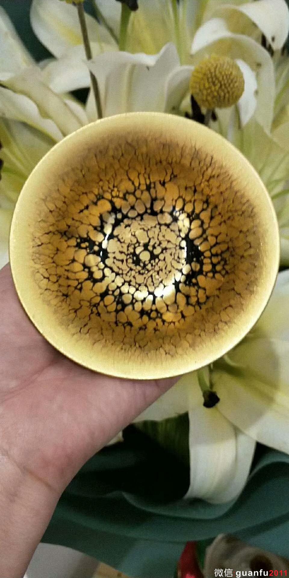 范澤鋒老師 金油滴盞：口徑9