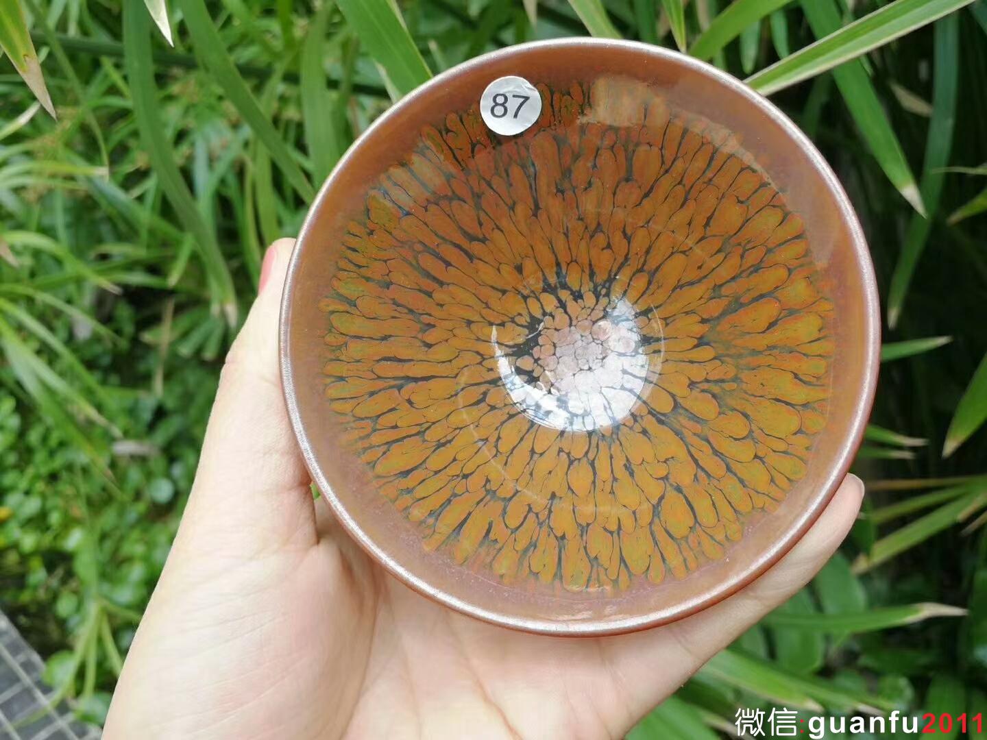 mmexport1525855372048