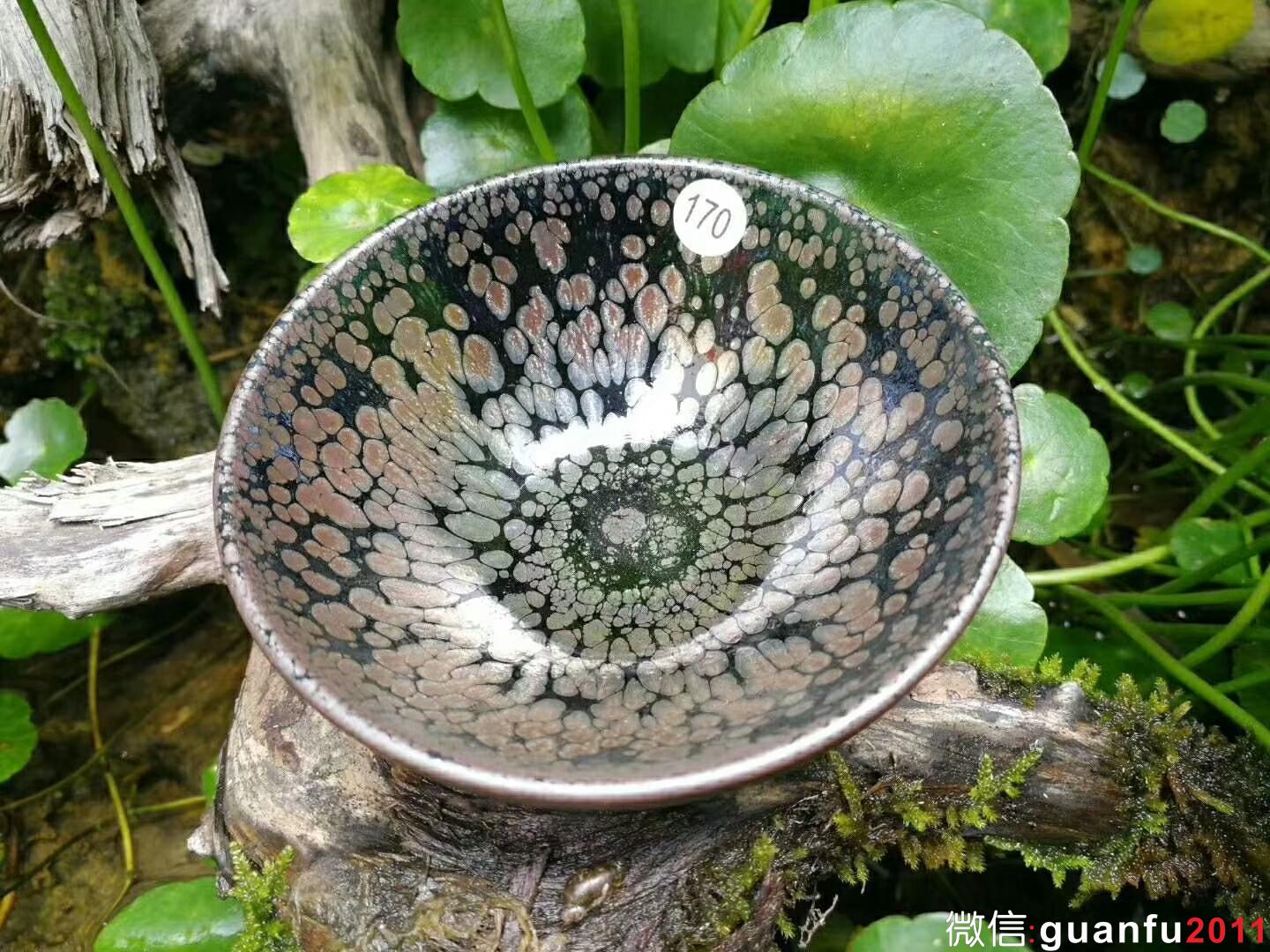 mmexport1525855744972