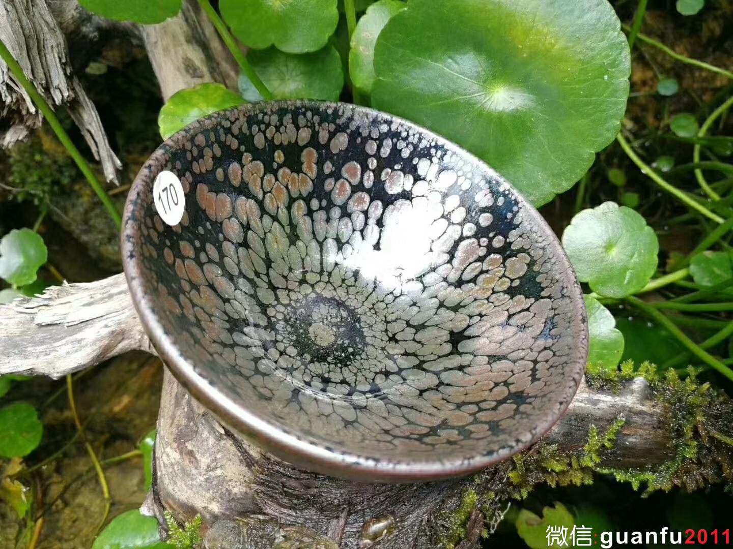 mmexport1525855748243