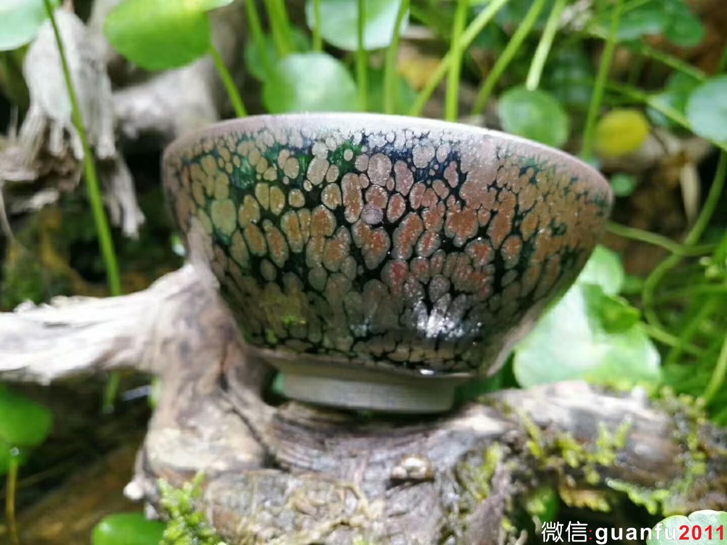 mmexport1525855751583