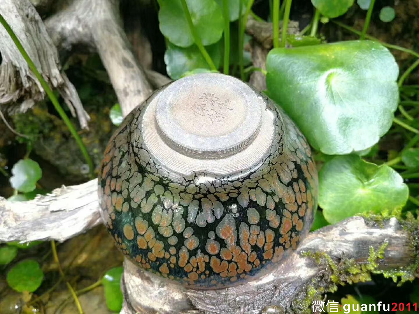 mmexport1525855759416