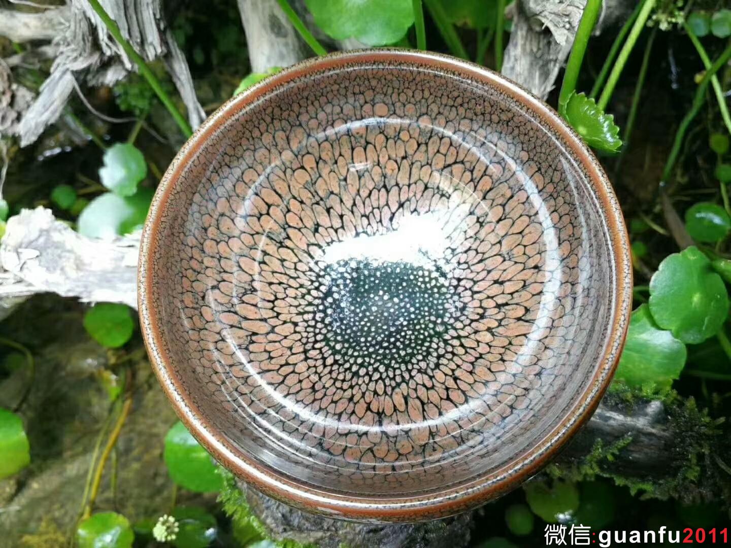 mmexport1525855811359