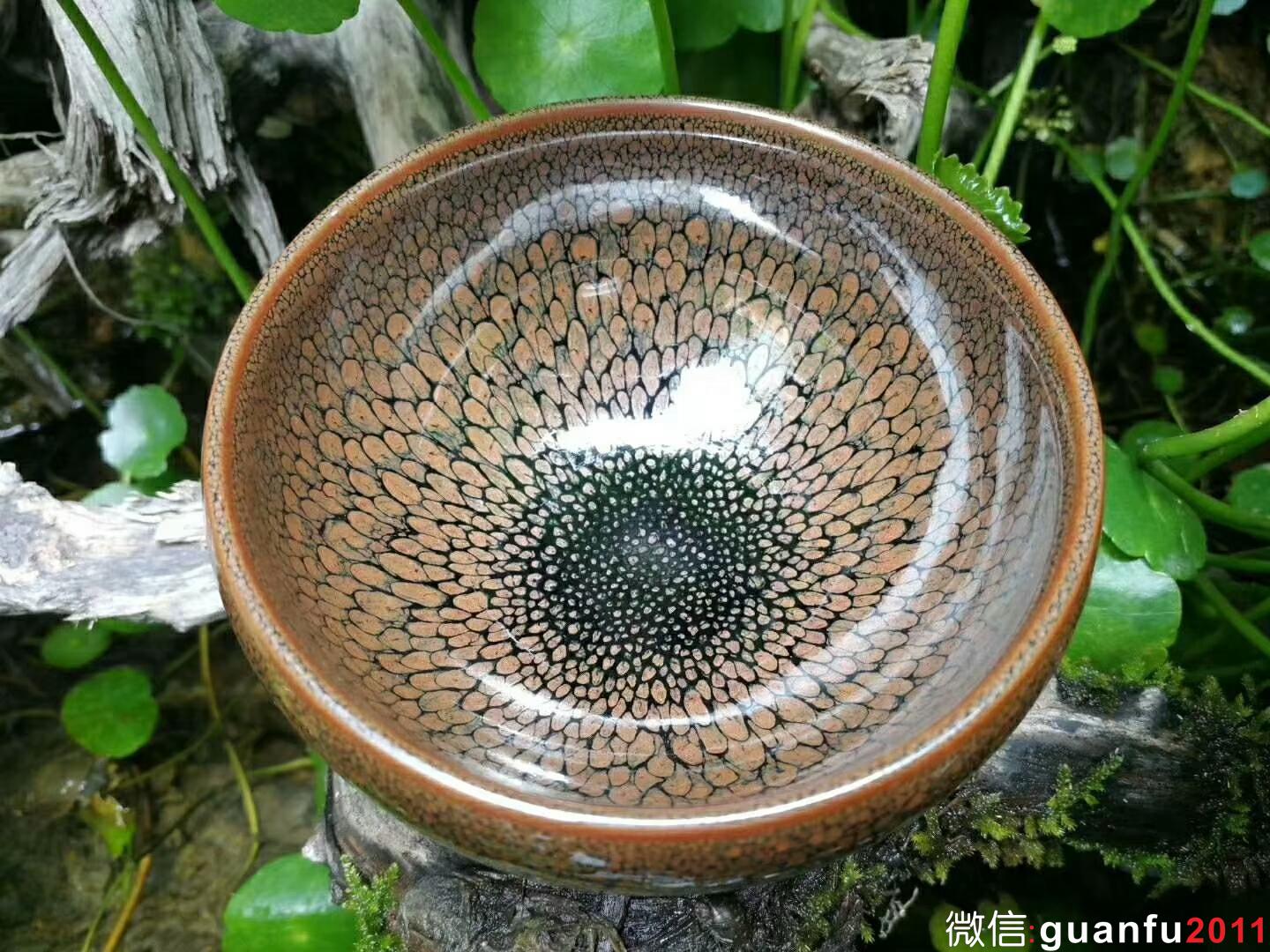 mmexport1525855814793