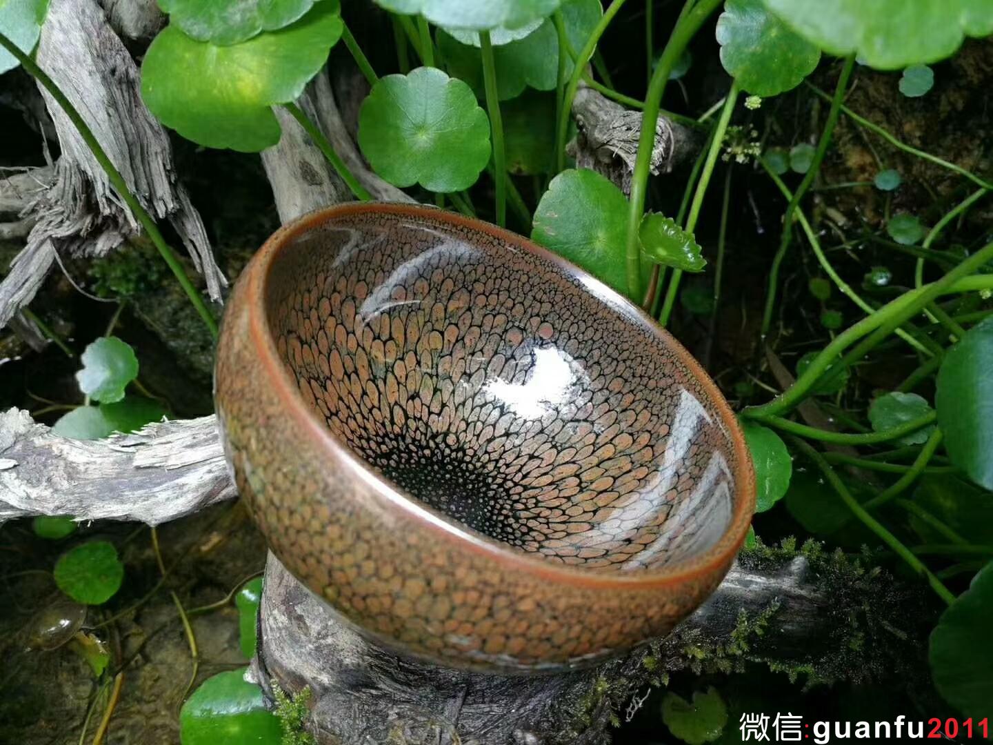 mmexport1525855817719