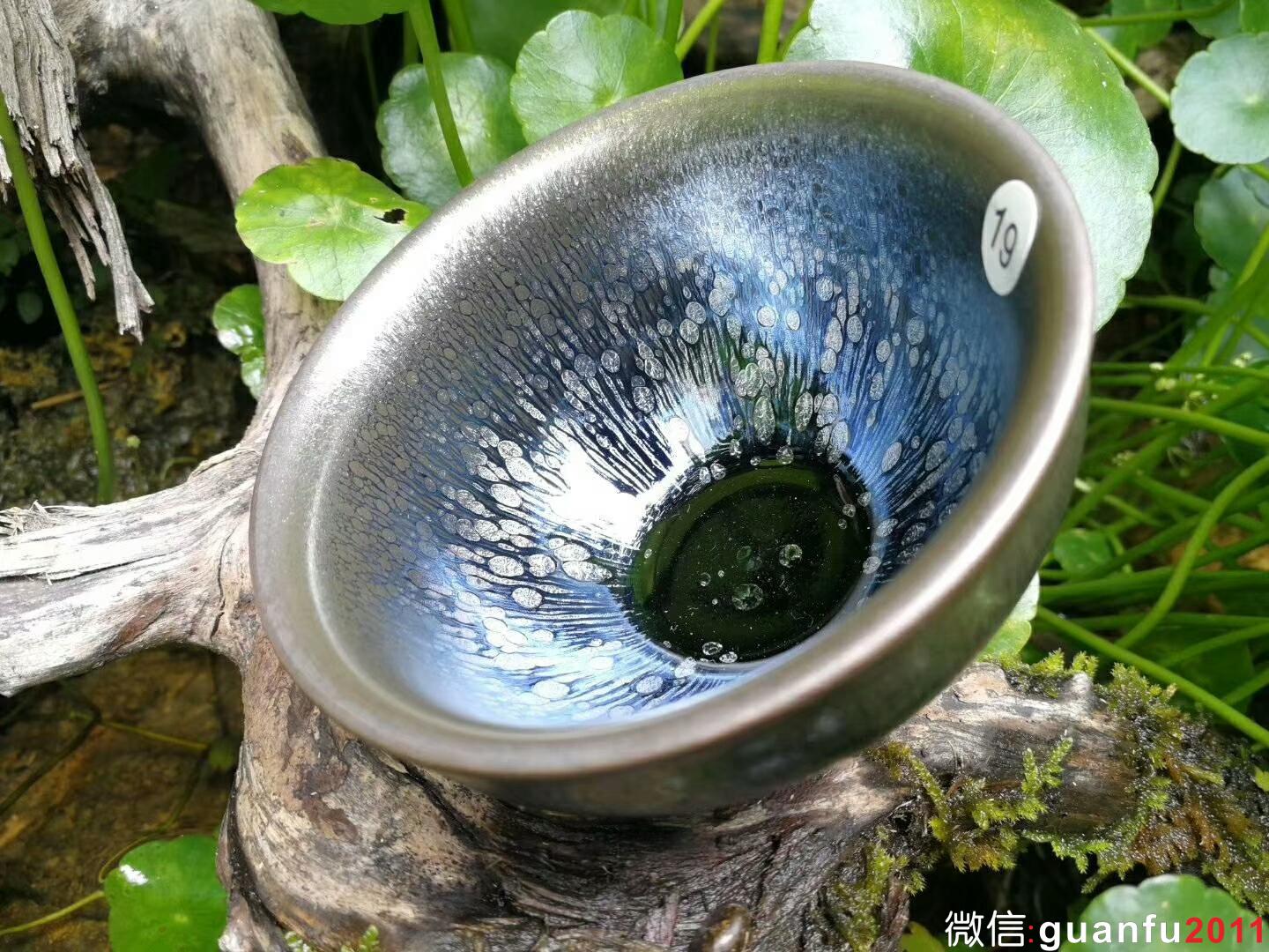 mmexport1525855894257