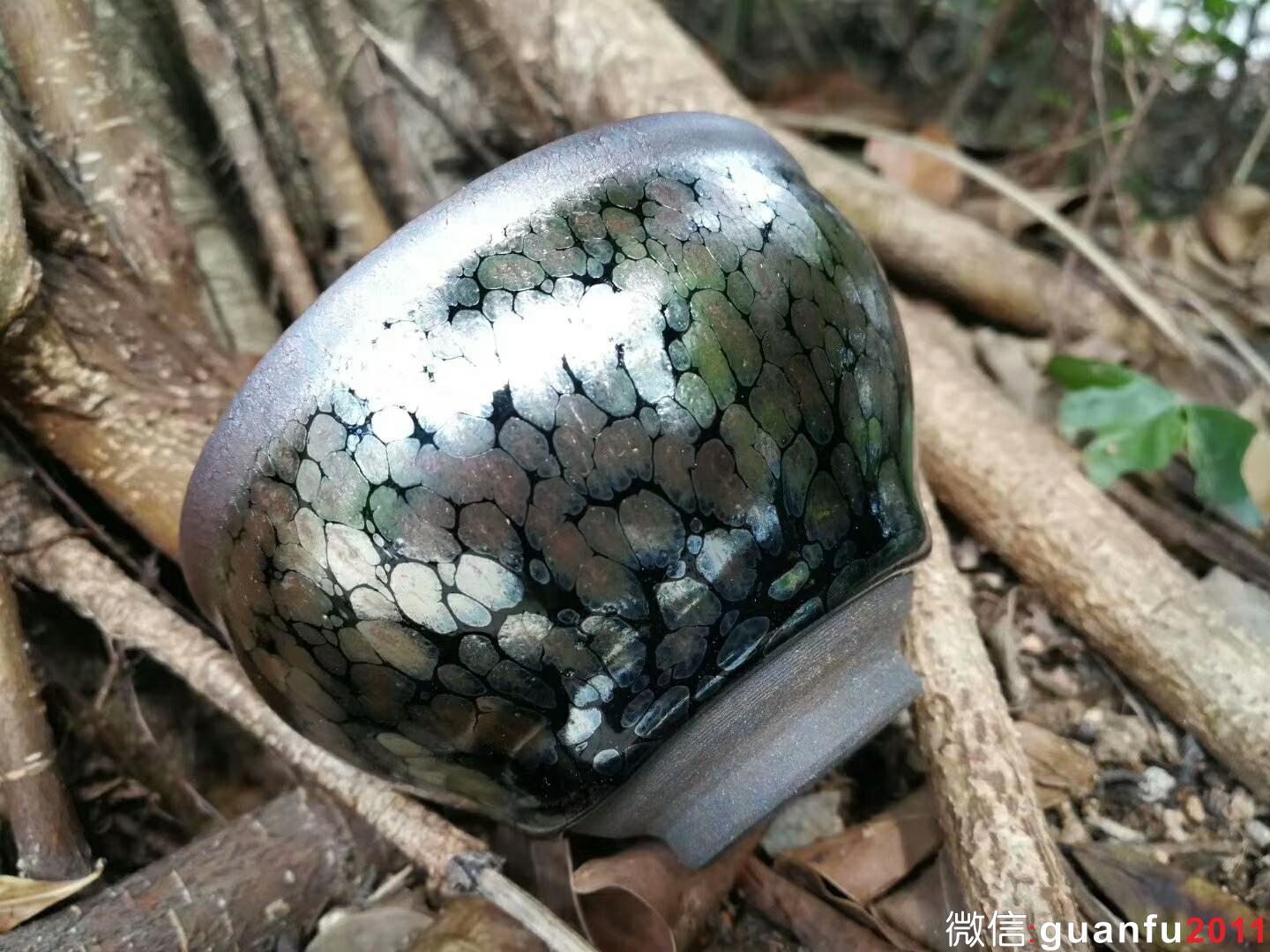 mmexport1525856149555