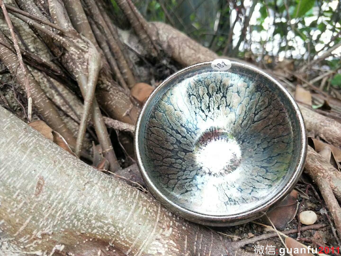 mmexport1526186581954