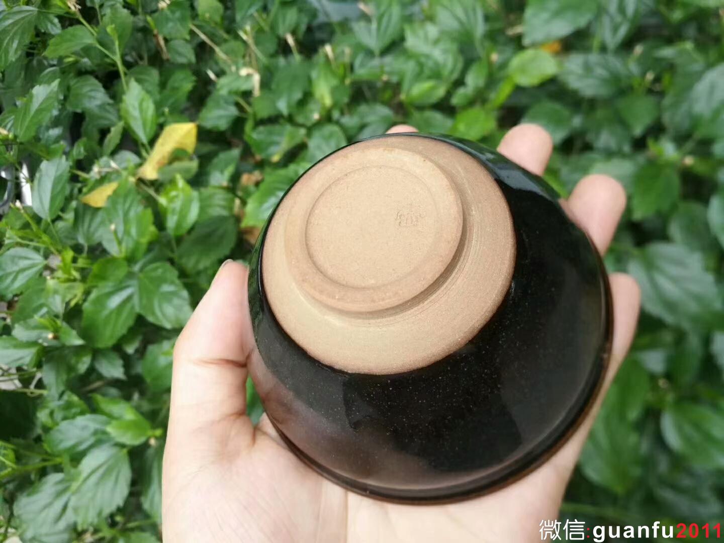 mmexport1527054859705