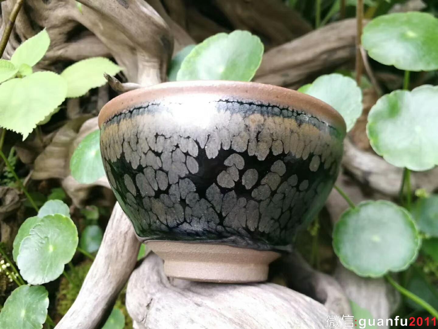 mmexport1527055374245