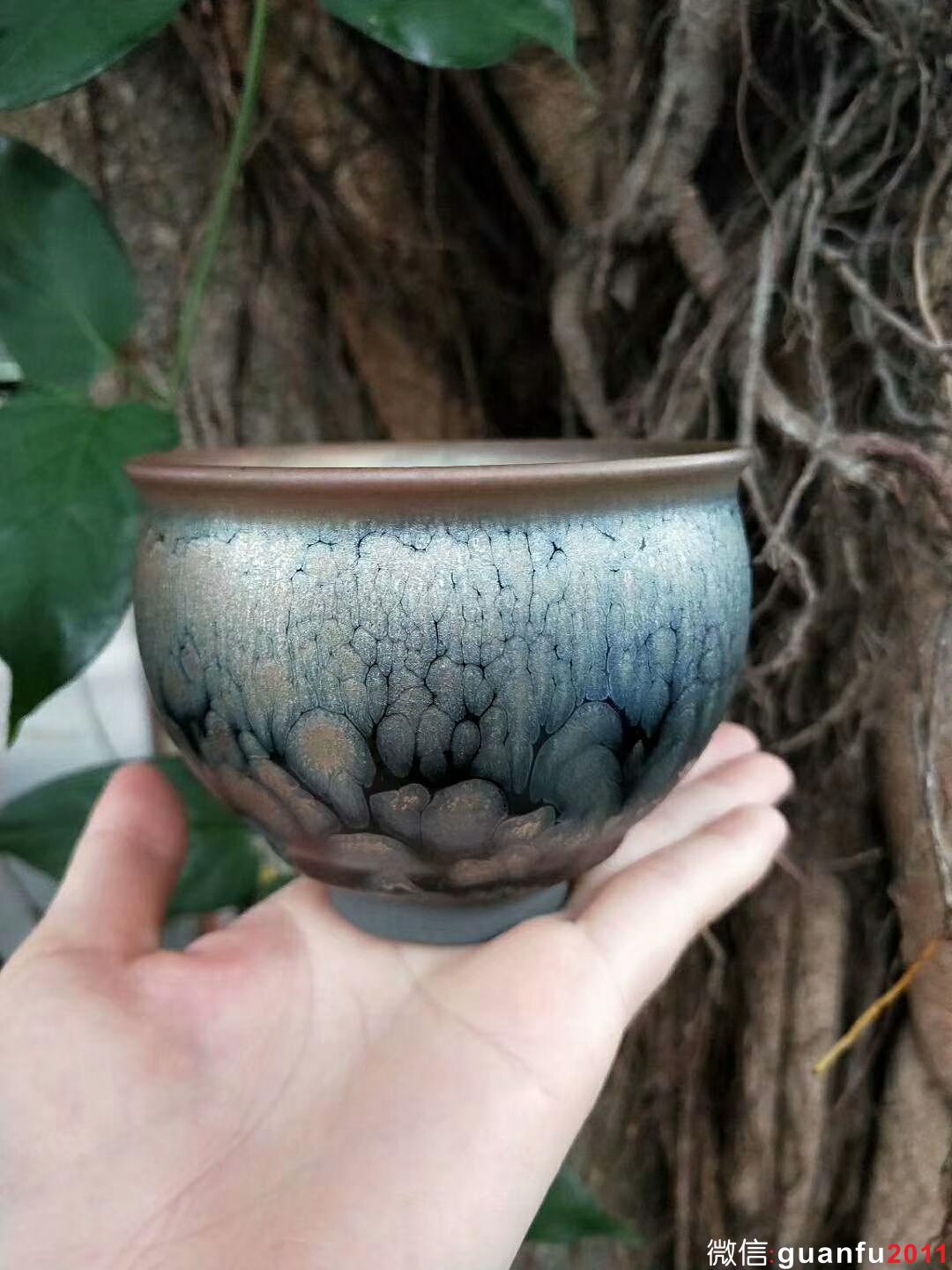 mmexport1527667613531