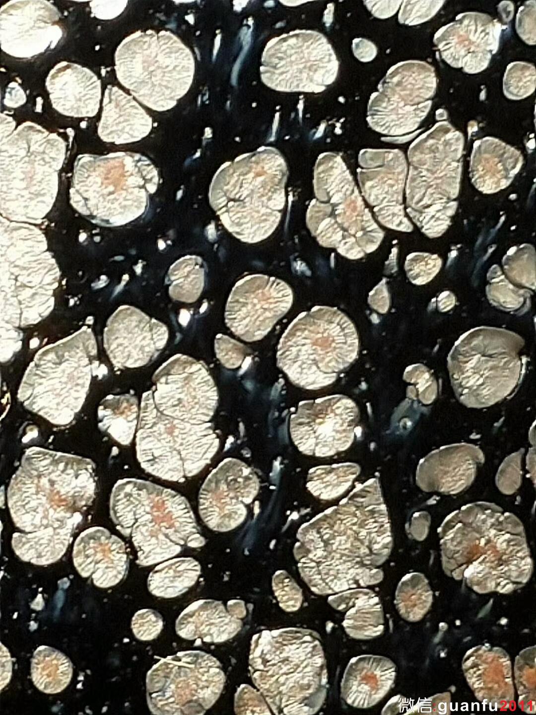 國(guó)家級(jí)大師-孫建興 油滴盞：口徑9.5*5