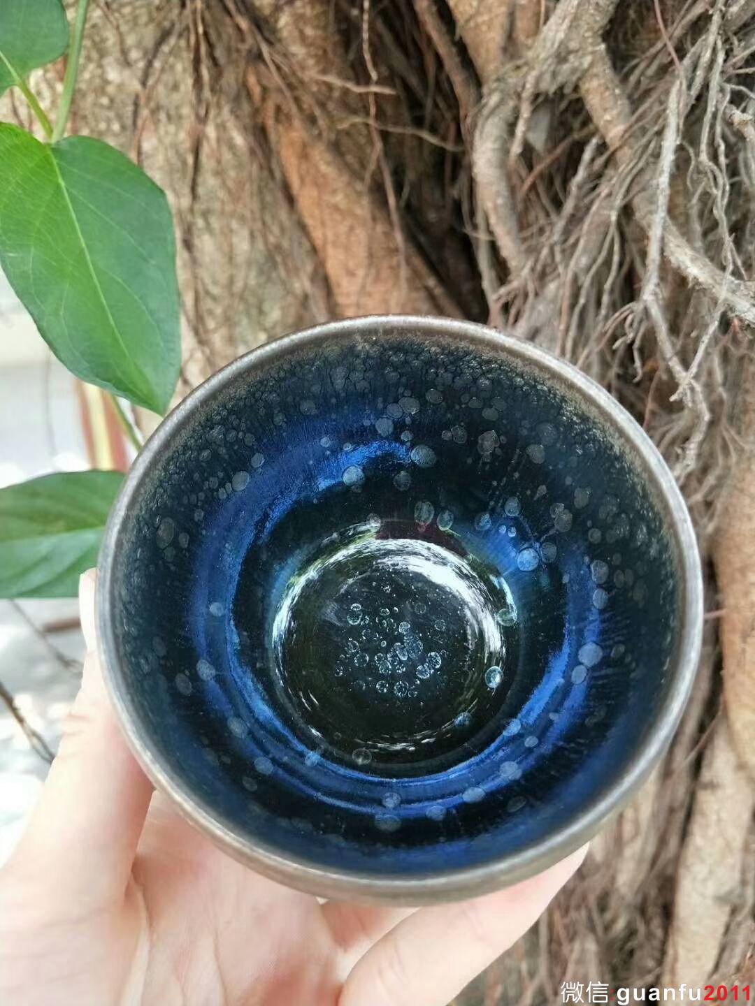 mmexport1527668781778