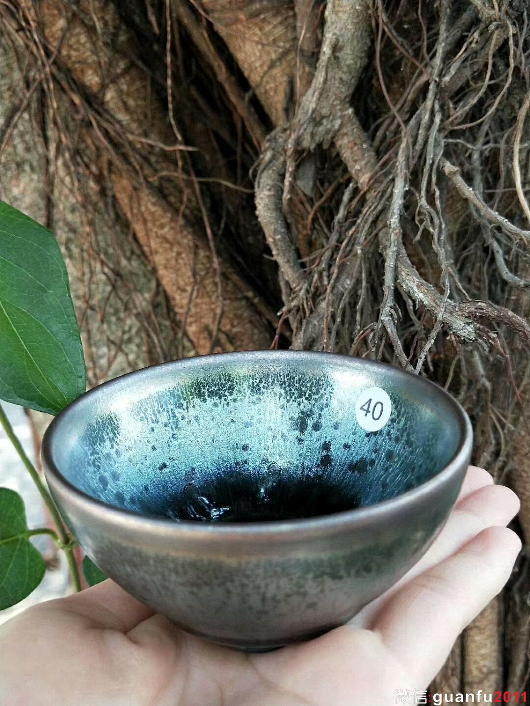 mmexport1527668967253