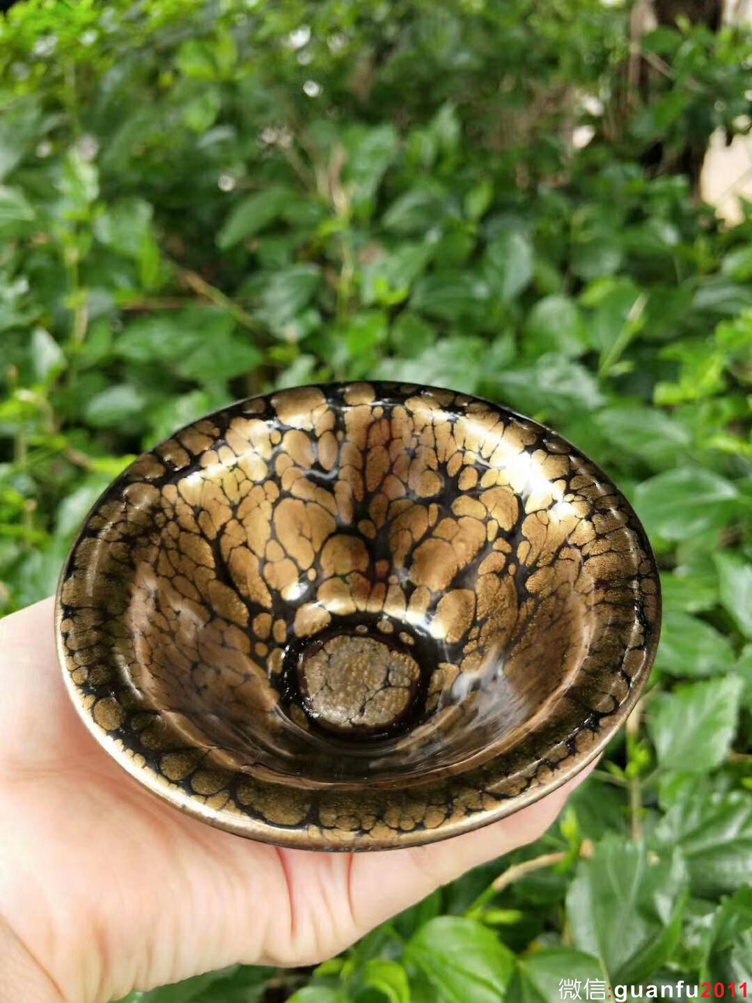 mmexport1527669543706