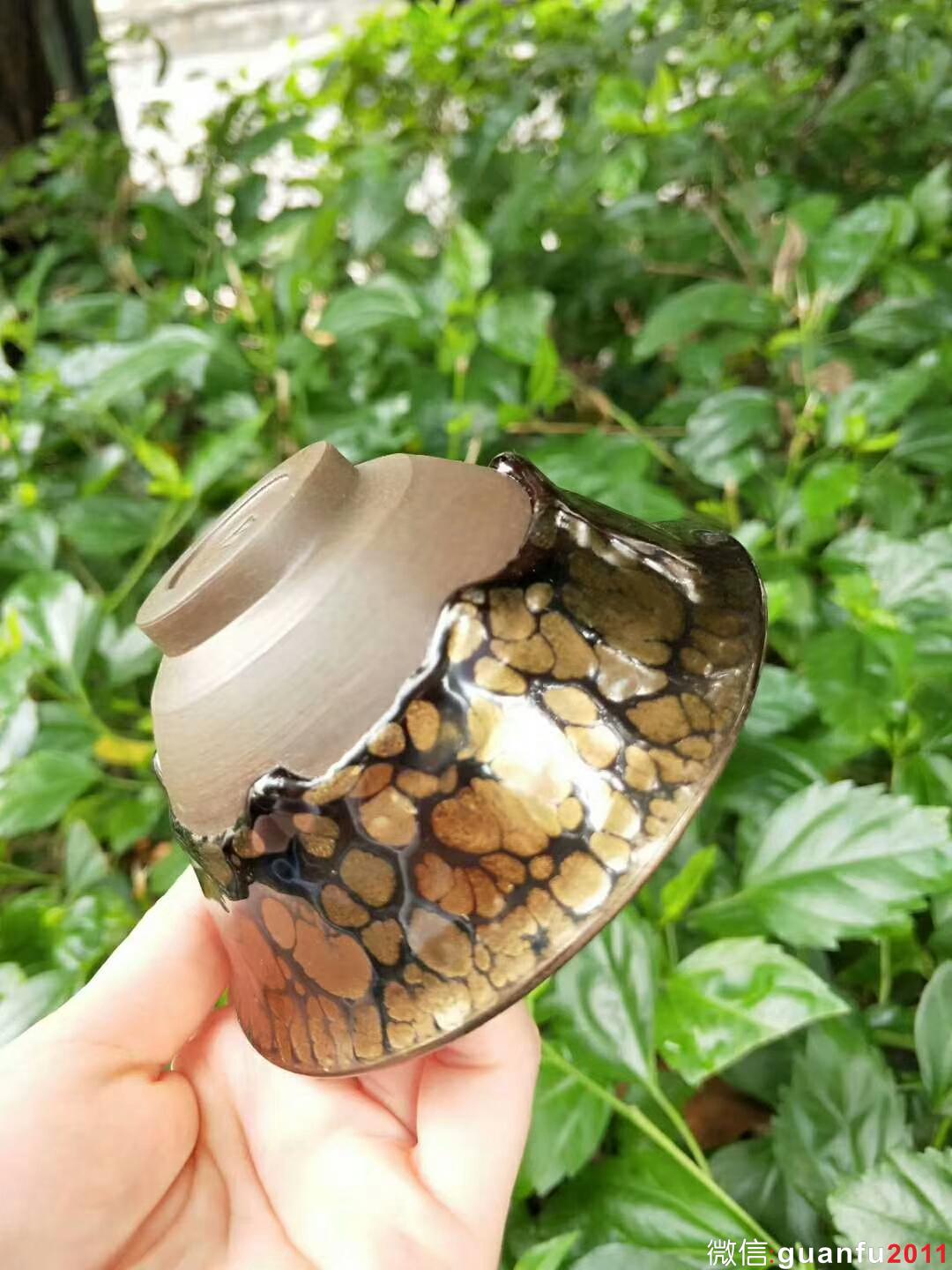 mmexport1527669556934