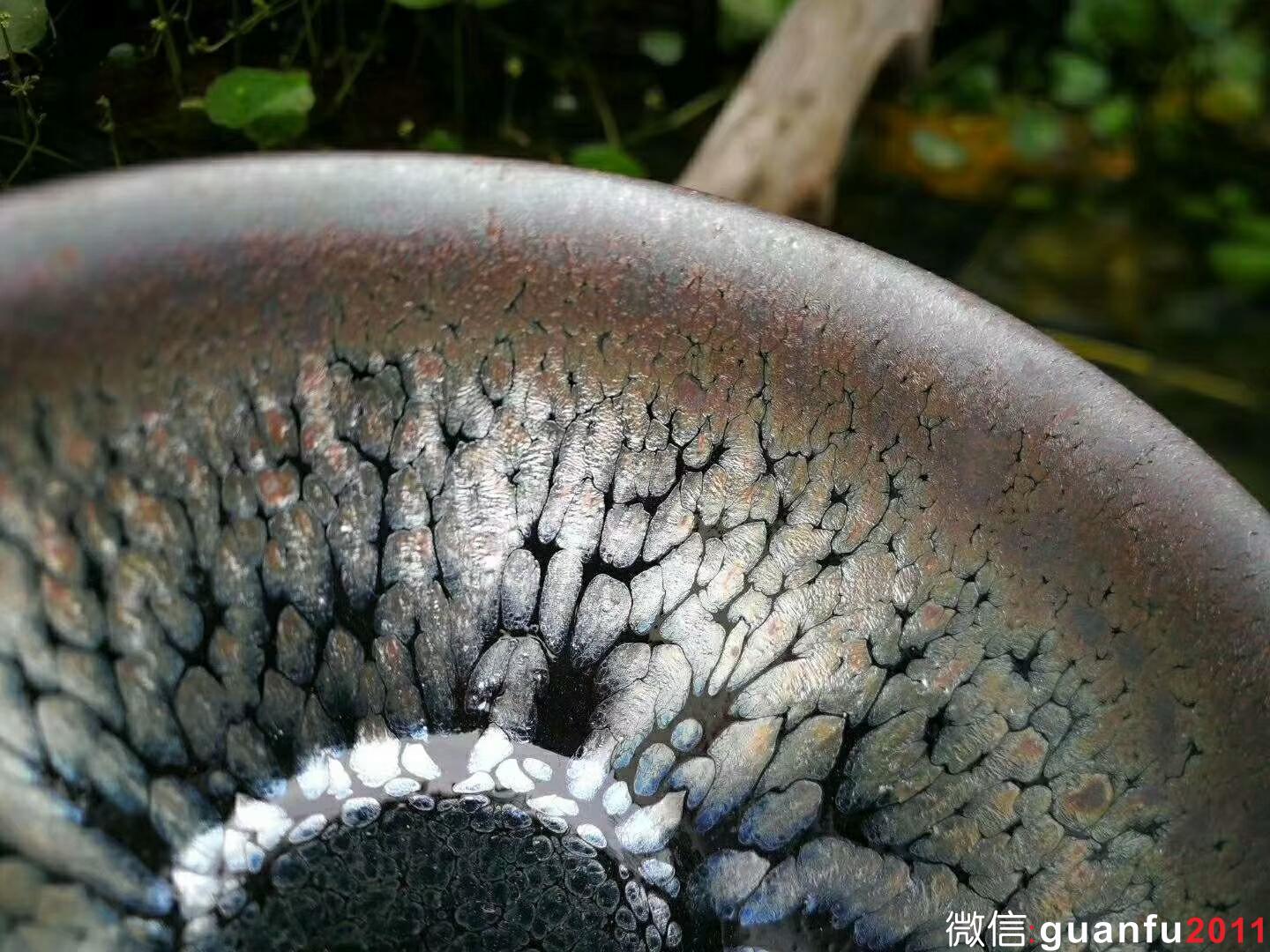 mmexport1527990296887