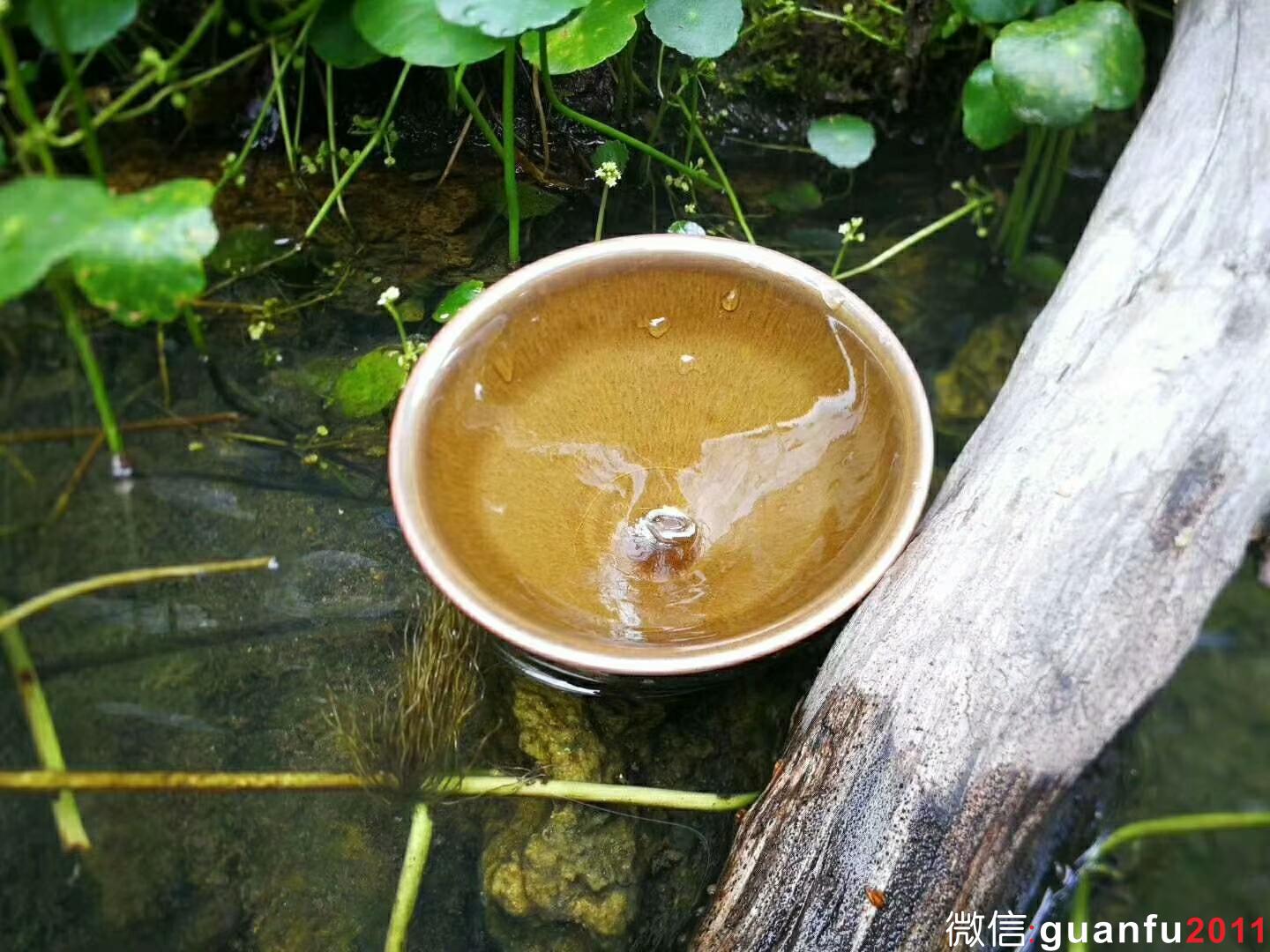 mmexport1527990409705