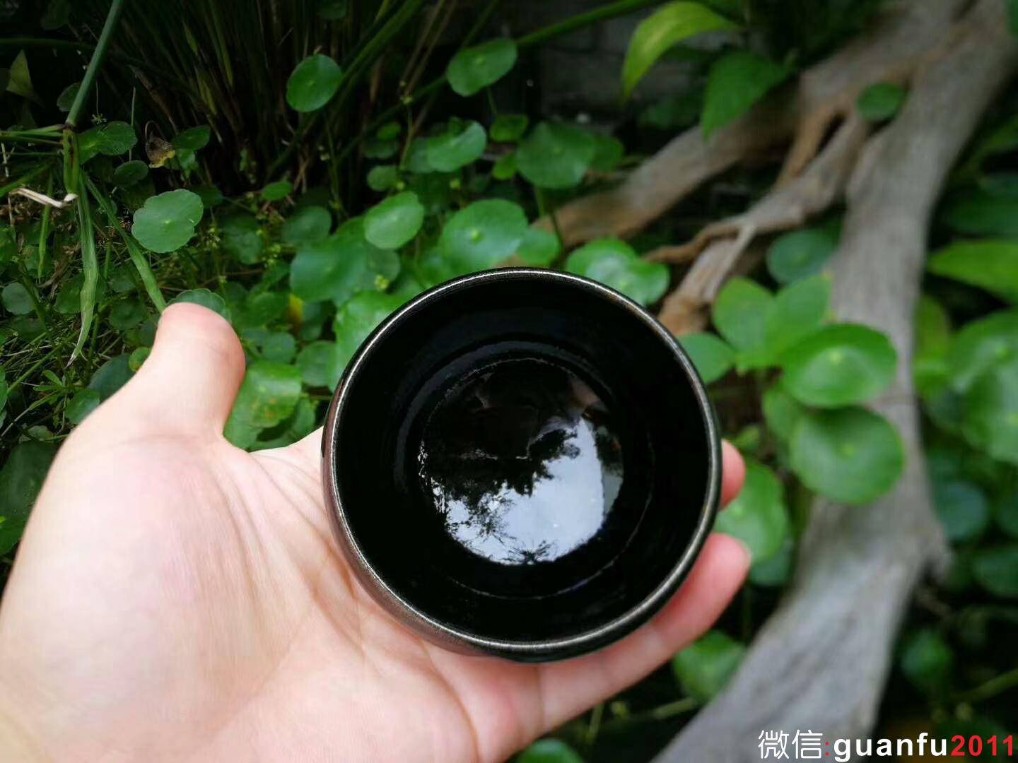 mmexport1527990618256