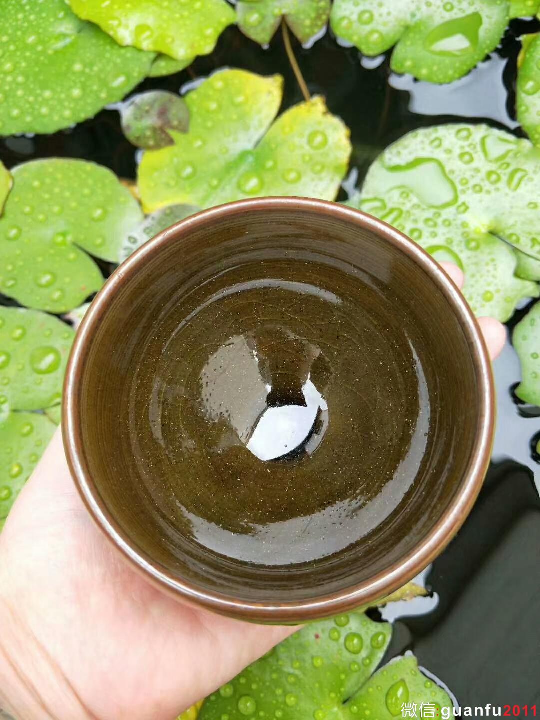 mmexport1527990725109