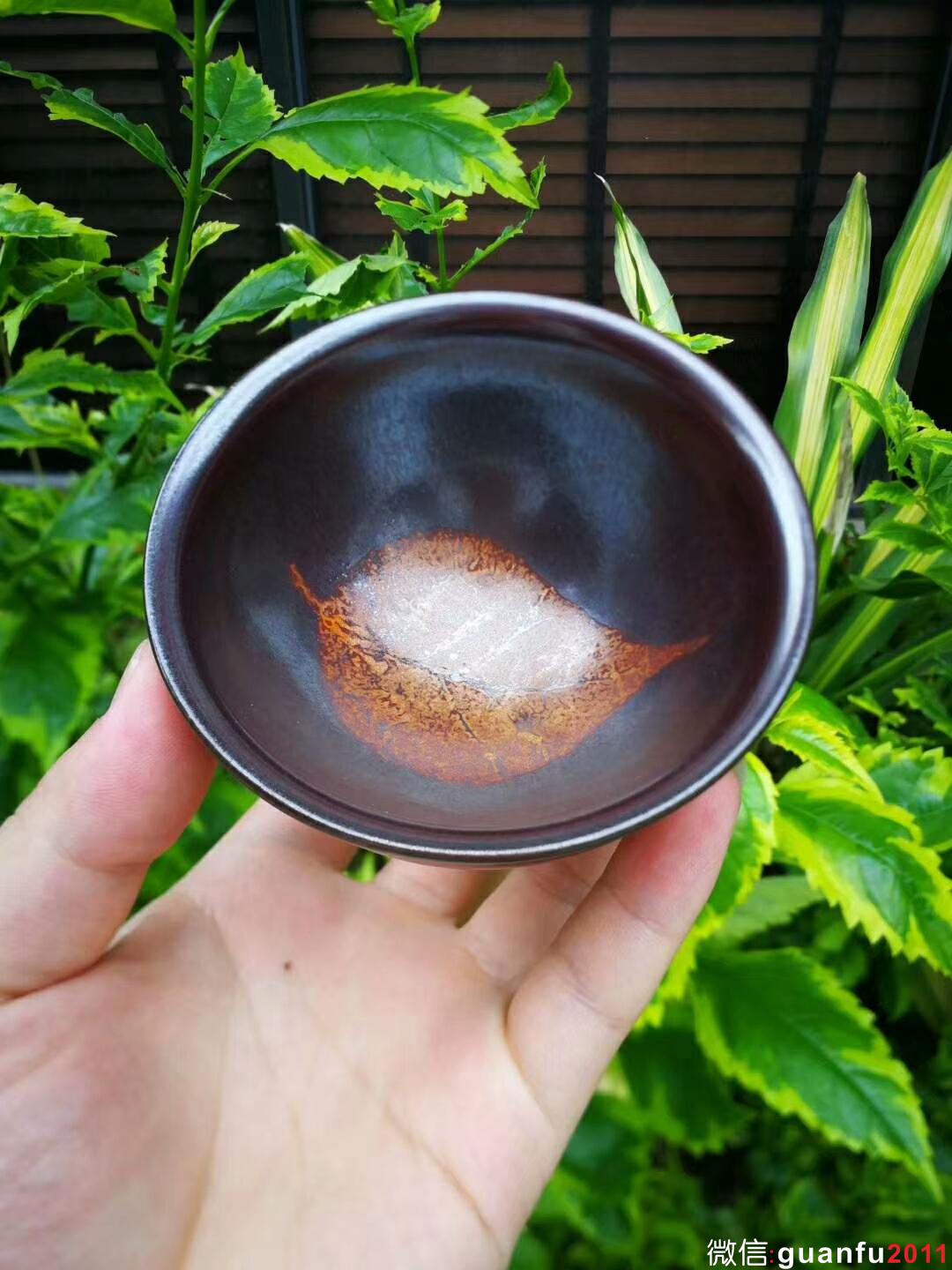 mmexport1527991142358