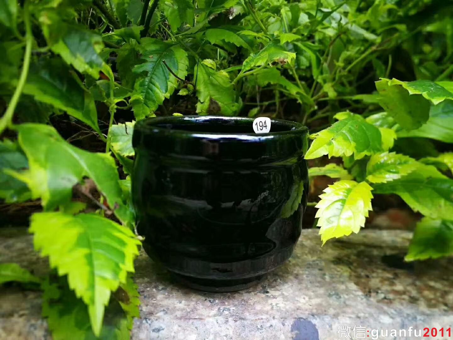 mmexport1527991242735