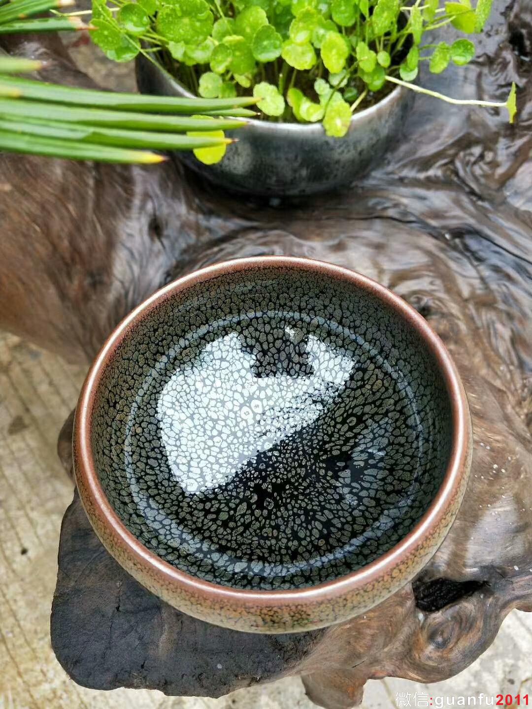 陳慧敏 綠鷓鴣斑缽型：口徑11*12.5*7