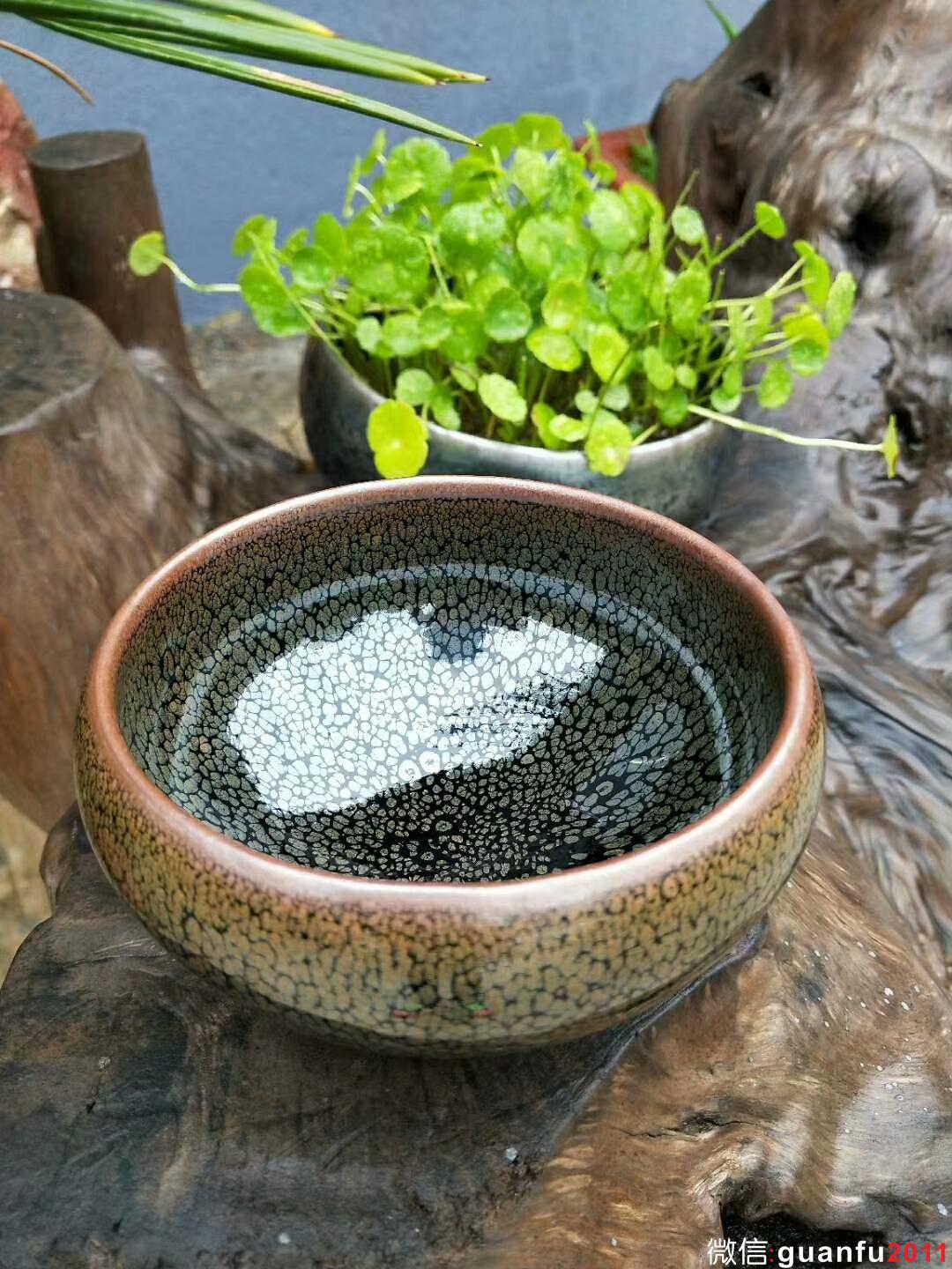 陳慧敏 綠鷓鴣斑缽型：口徑11*12.5*7