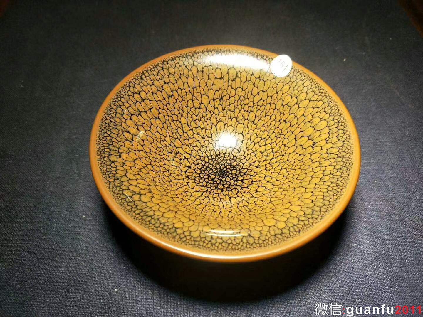 陳大鵬老師 黃鷓鴣斑：口徑10.5