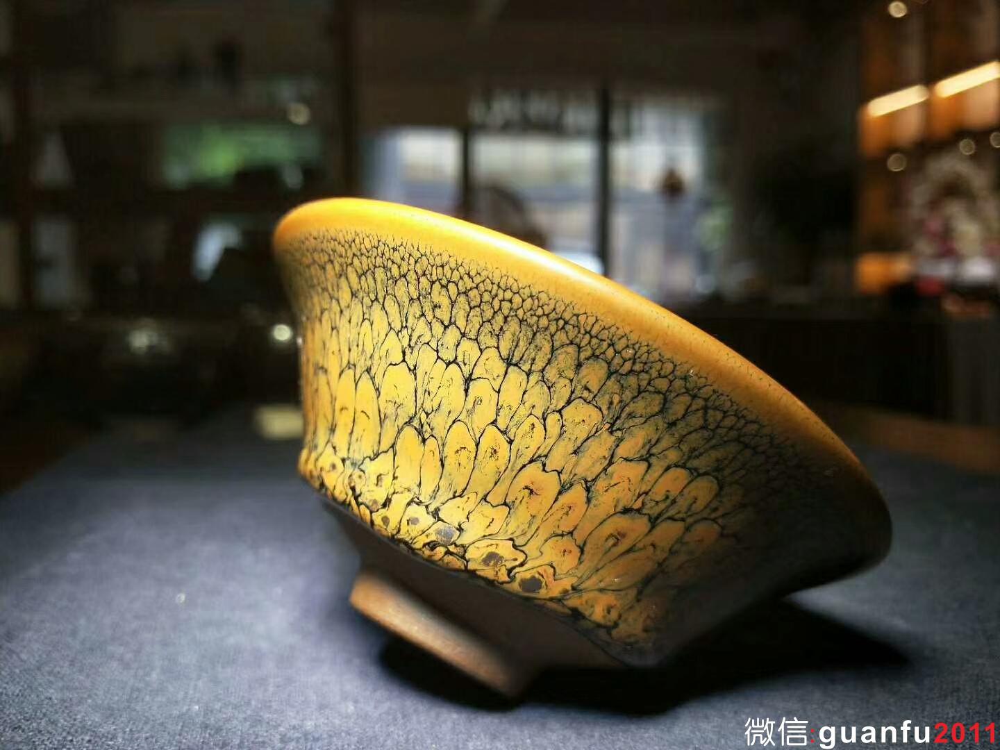 陳大鵬老師 黃鷓鴣斑：口徑10.5