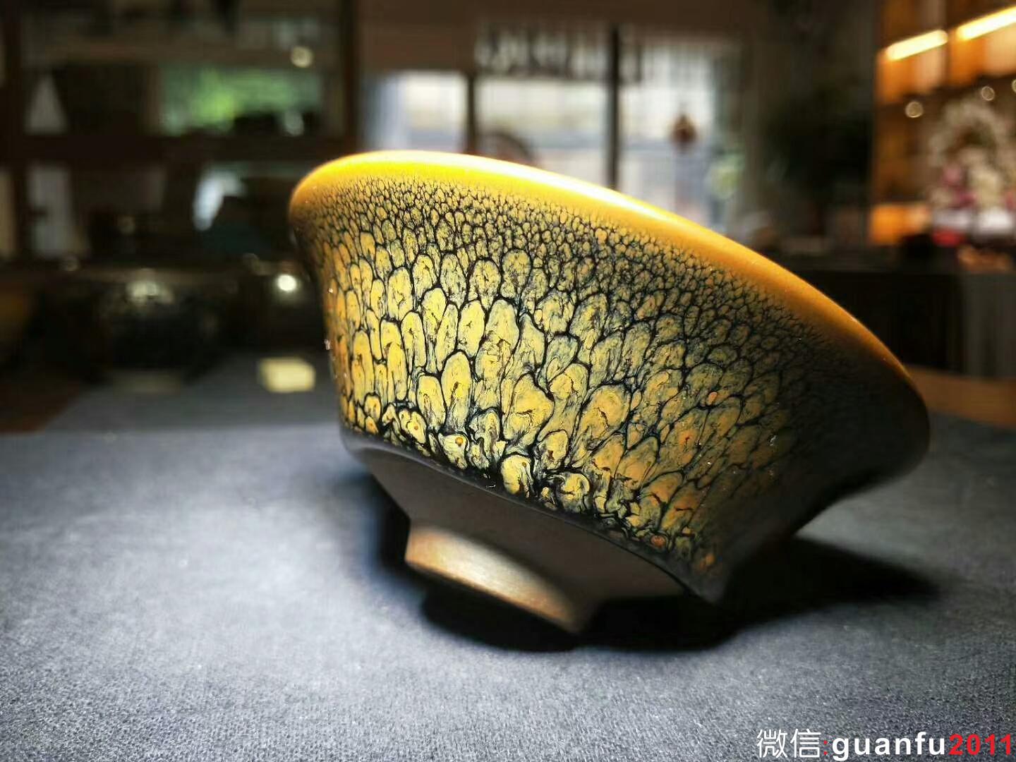 陳大鵬老師 黃鷓鴣斑：口徑10.5