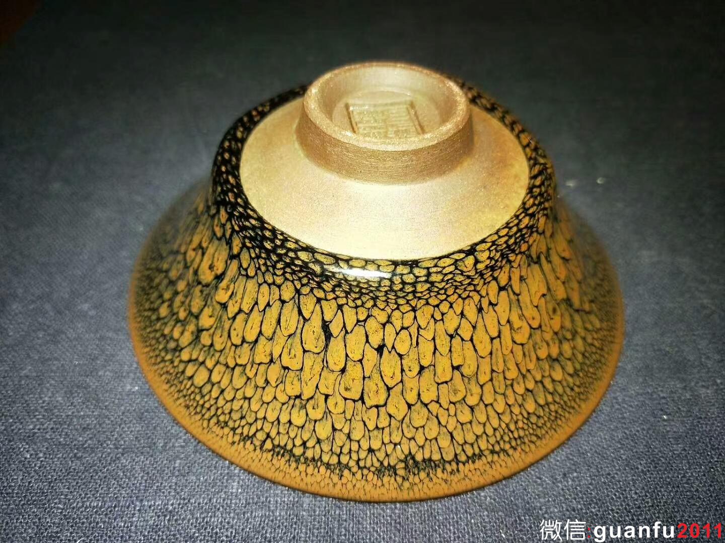 陳大鵬老師 黃鷓鴣斑：口徑10.5