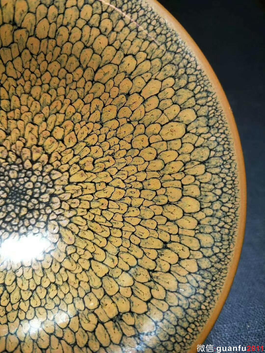 陳大鵬老師 黃鷓鴣斑：口徑10.5