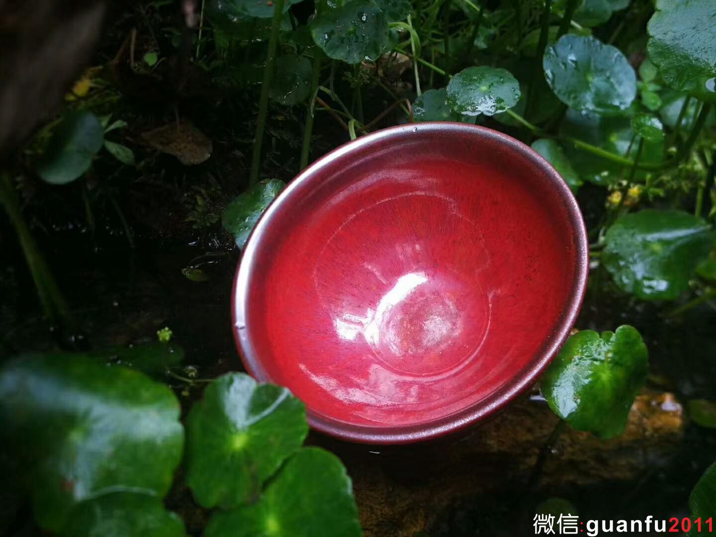 孫莉老師 柿紅盞：口徑9*5.2