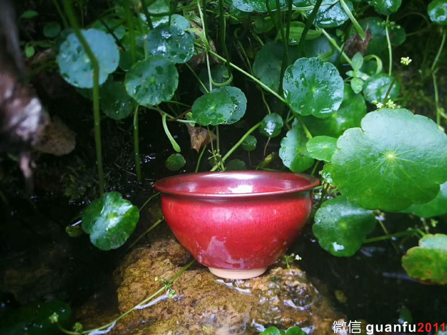 孫莉老師 柿紅盞：口徑9*5.2