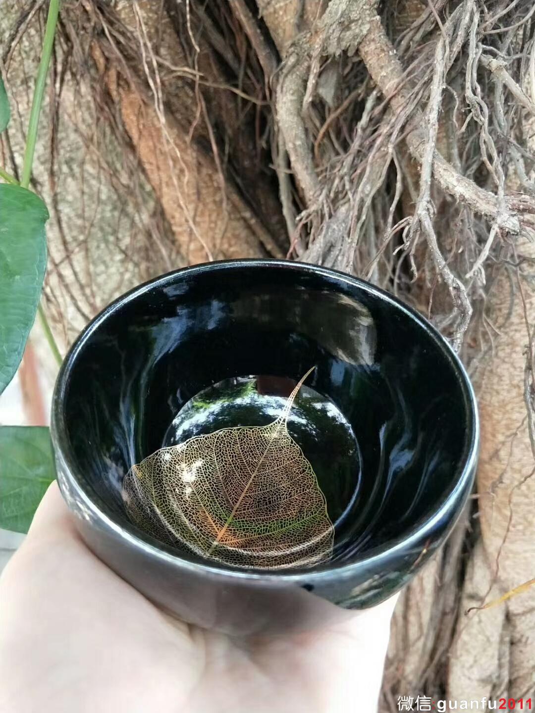 mmexport1527992714613