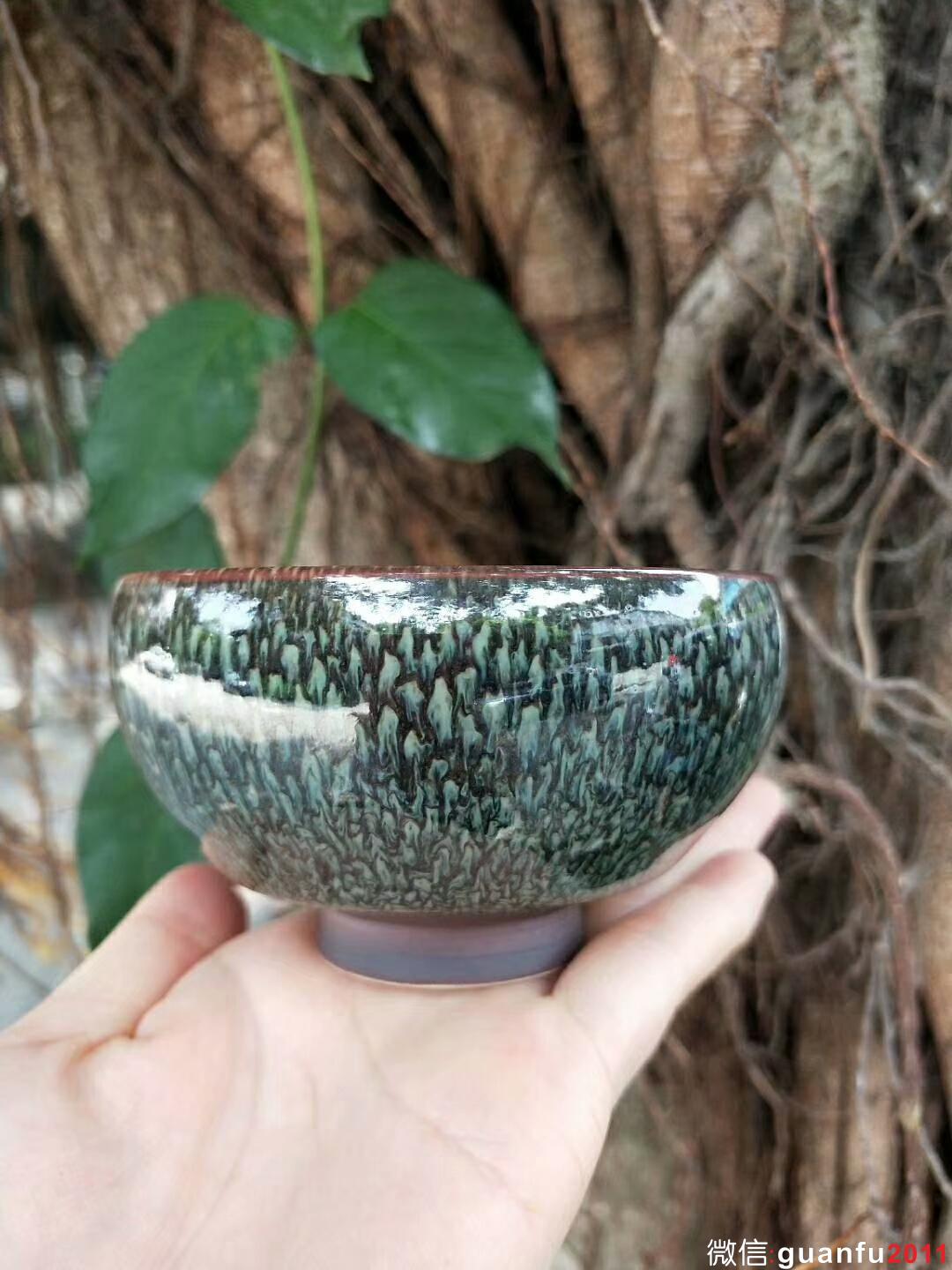 mmexport1527992949694