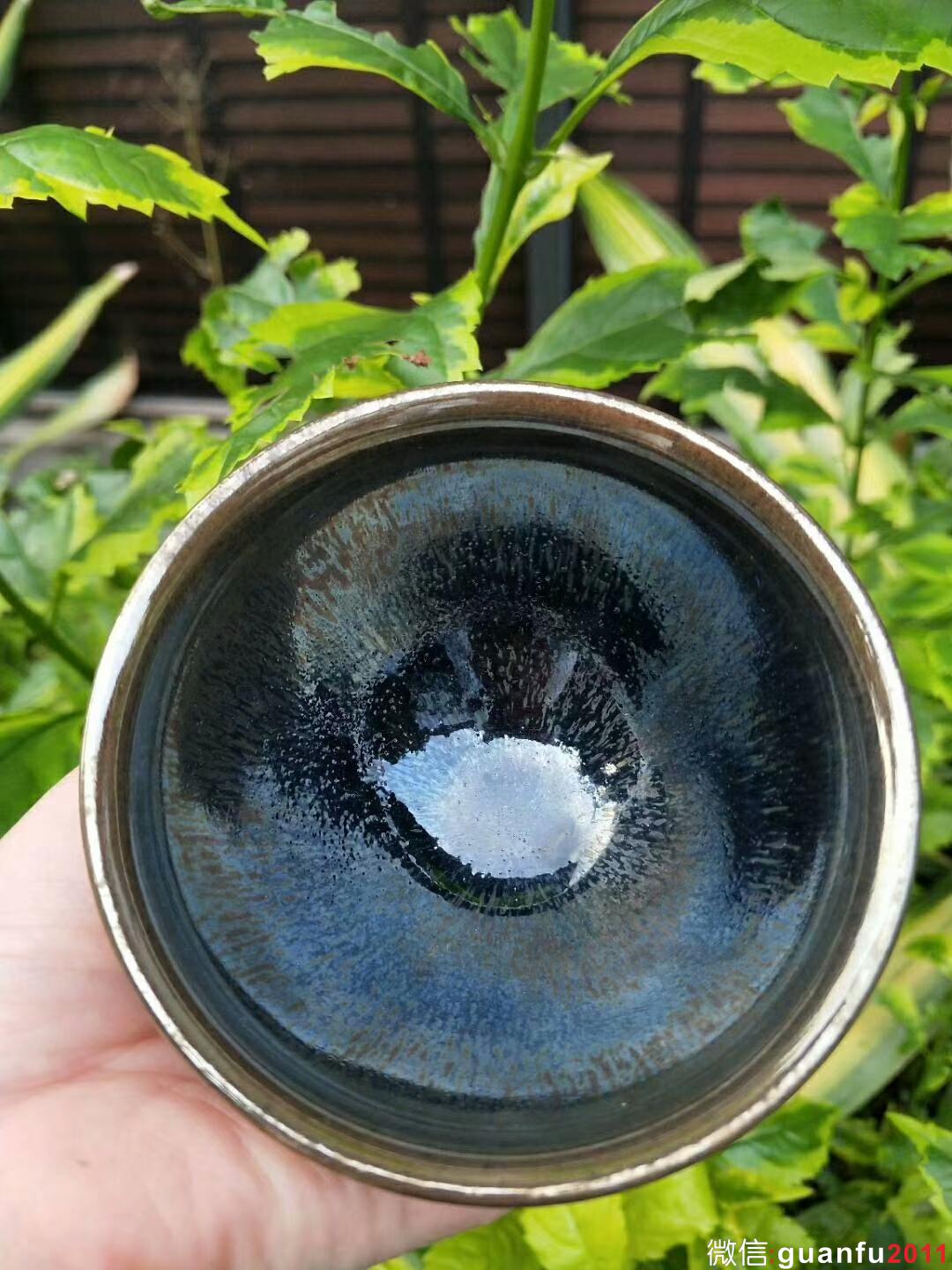 陸金喜老師 “天賦異彩”：口徑9.5*5.5