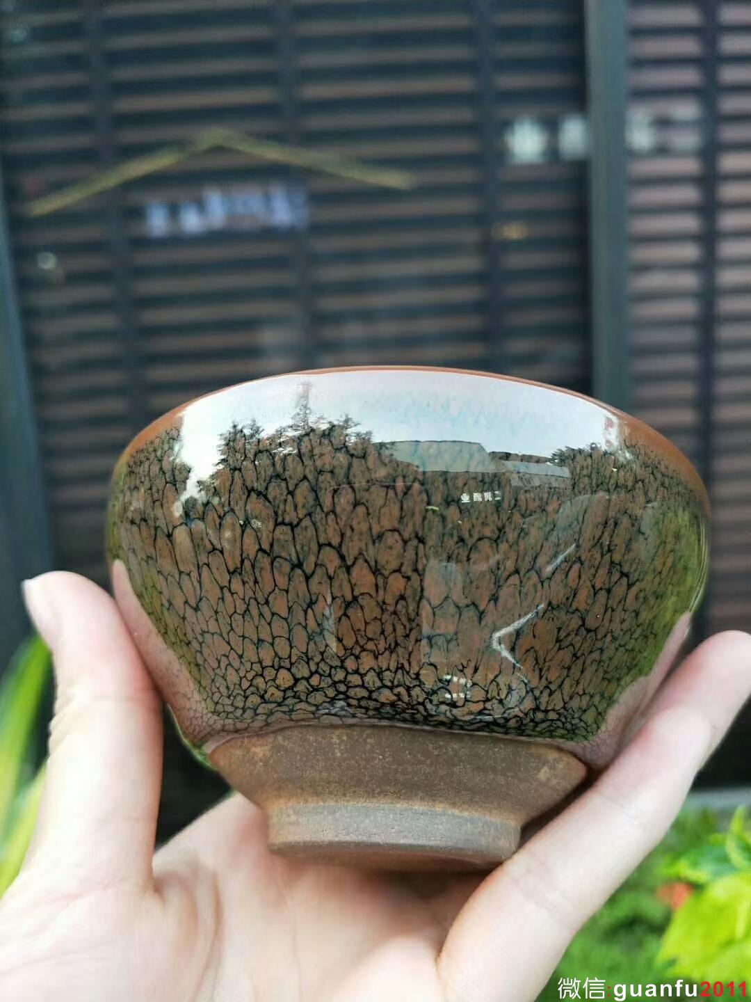 陳大鵬 黃鷓鴣斑：口徑9.5