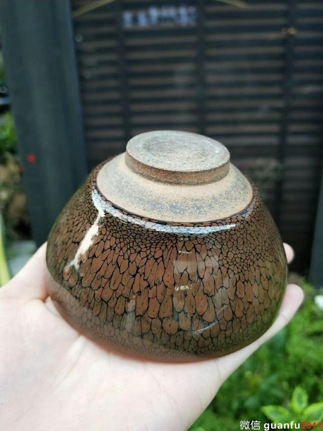 陳大鵬 黃鷓鴣斑：口徑9.5