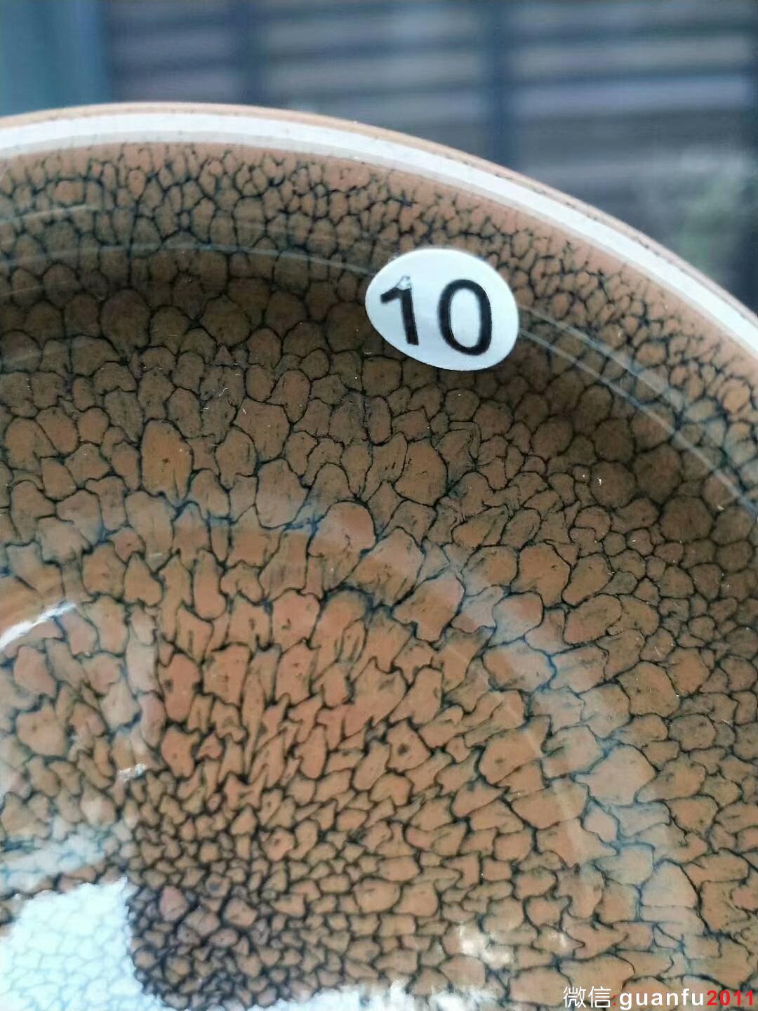 陳大鵬 黃鷓鴣斑：口徑9.5