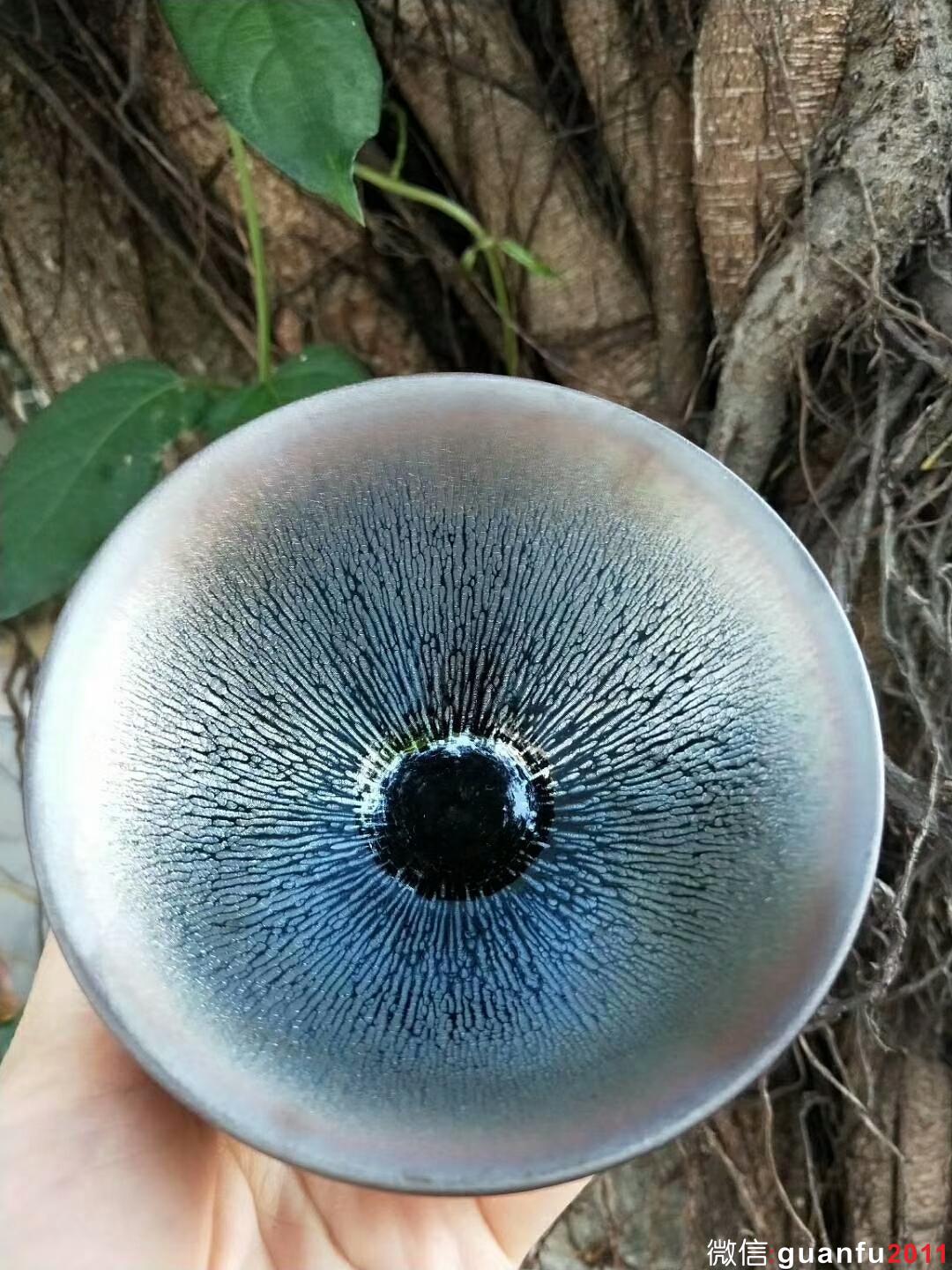 陳國文“銀毫”：口徑9*5